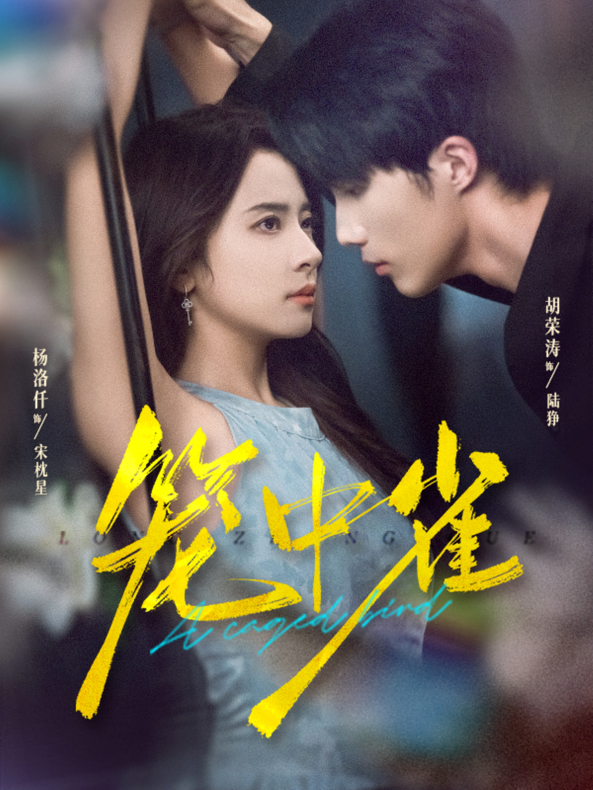 笼中雀第08集