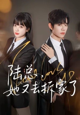 陆总，她又去拆家了第21集