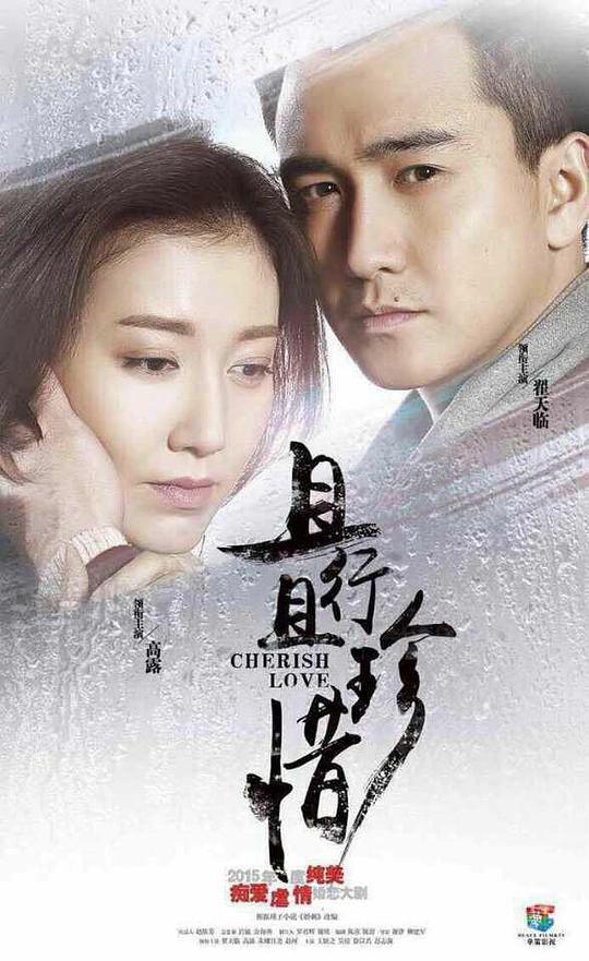 且行且珍惜第38集(大结局)