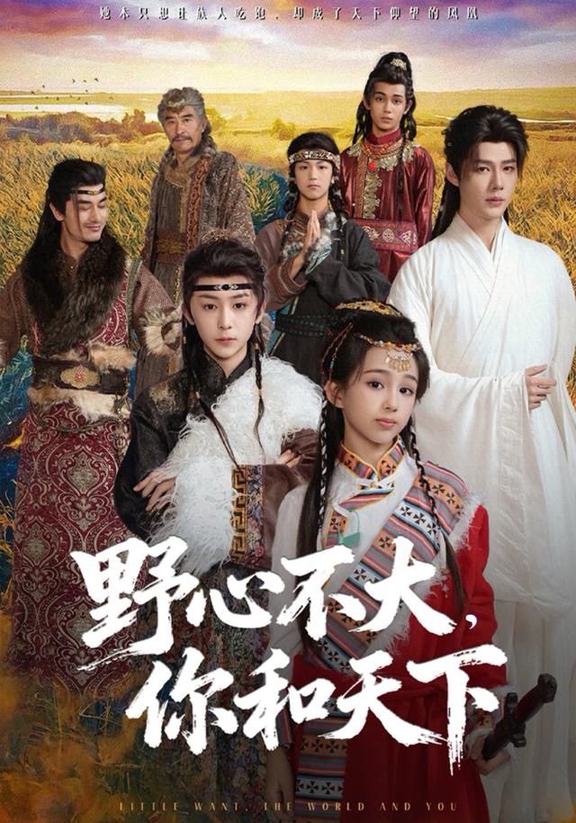 野心不大，你和天下(全集)