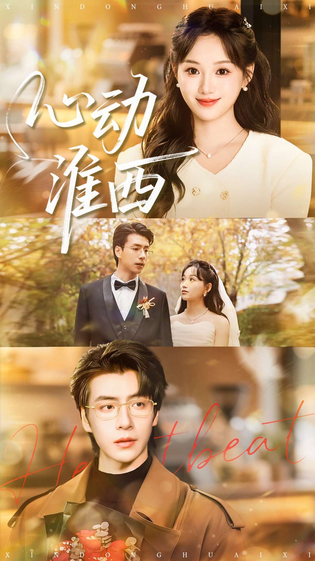 心动淮西(全集)